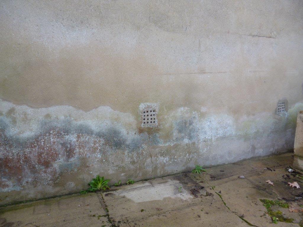 Remontée capillaire des murs — free download