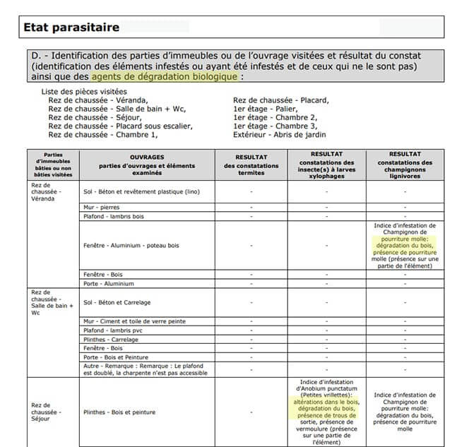 les agents de dégradation du bois mis en avant sur un état parasitaire