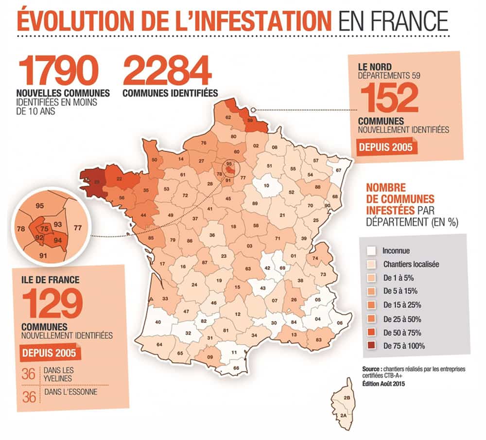 carte-mérule-france-2020-2021-2022