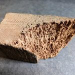 solive de plancher dévorée par les grosses vrillettes