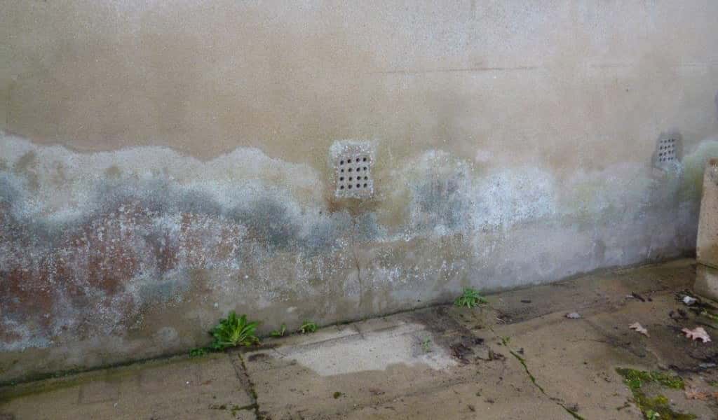 remontée-capillaire-vice-caché