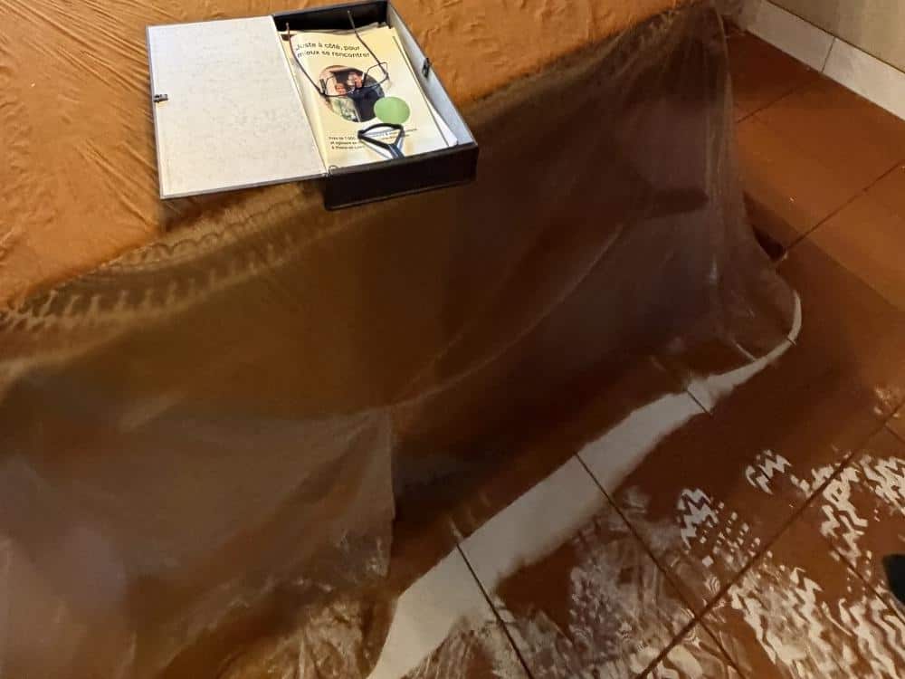 spores : très volatile les spores ont recouvert le sol de cette maison