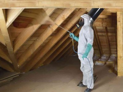 Traitement-bois-merule quimper